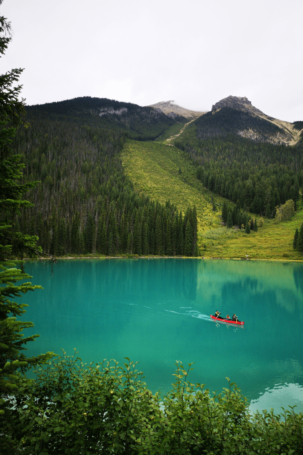 Lake Emerald canoë forêt parc de Yoho