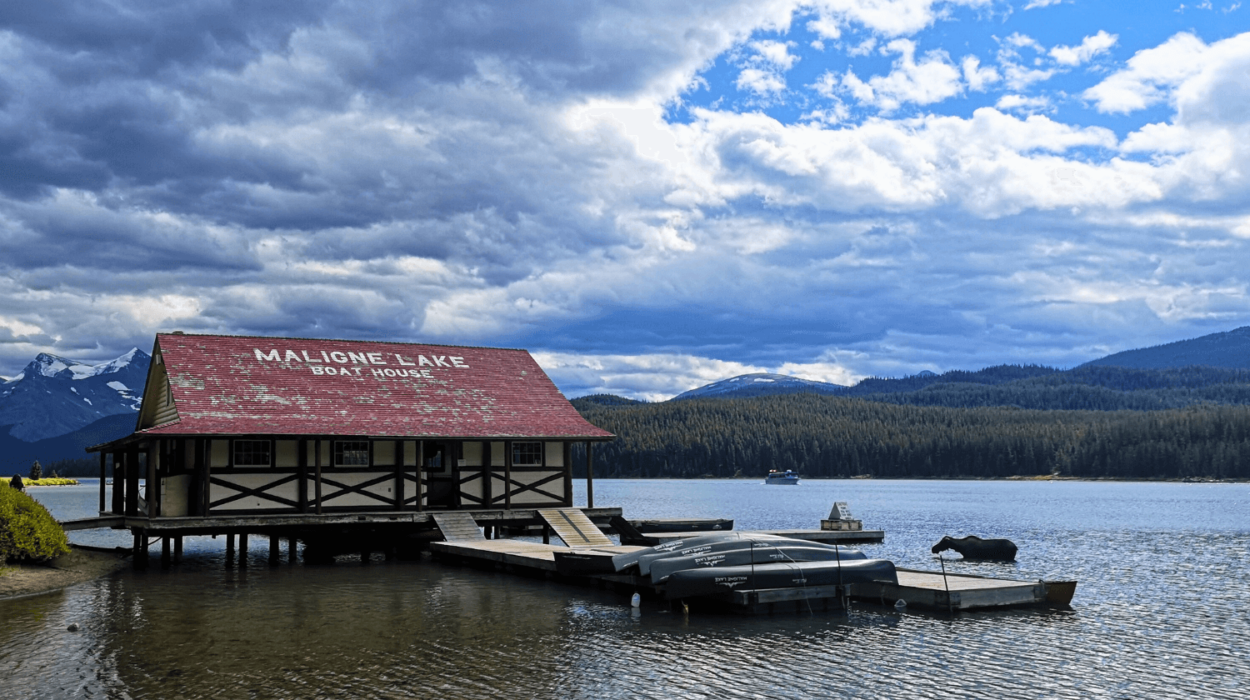 Maligne Lake Canada cabane et orignal dans l'eau paysage