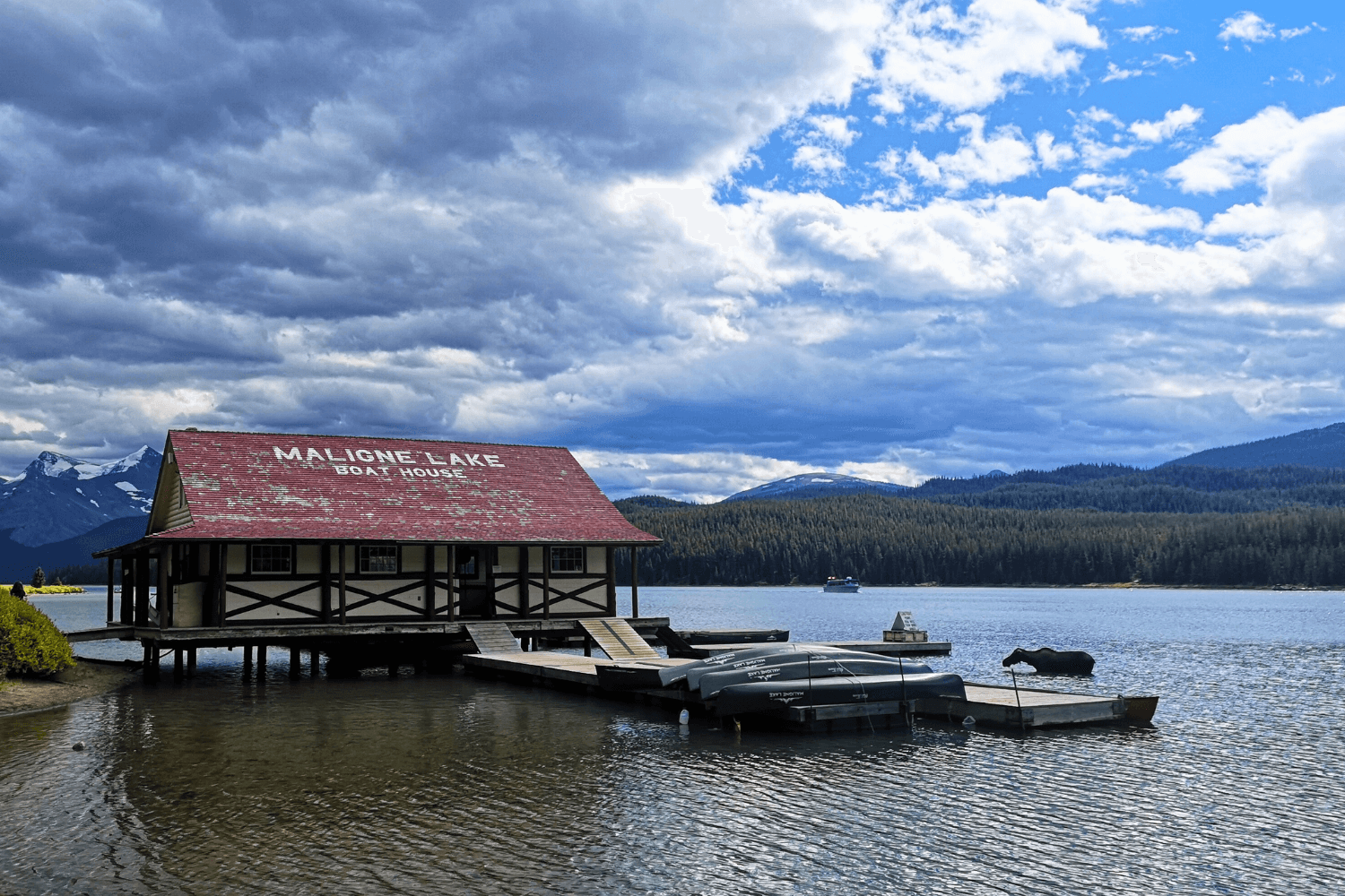 Maligne Lake Canada cabane et orignal dans l'eau paysage